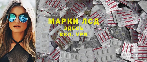 индика Слюдянка