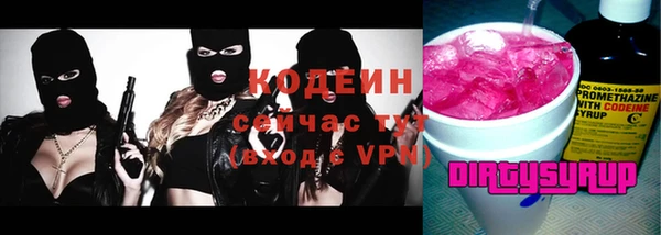 индика Слюдянка
