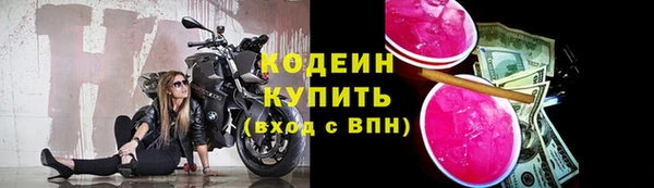 амф Верхний Тагил