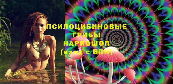 амф Верхний Тагил