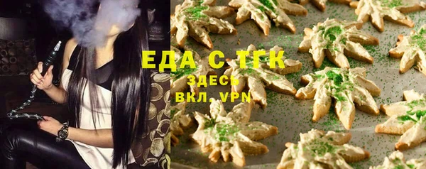 индика Слюдянка