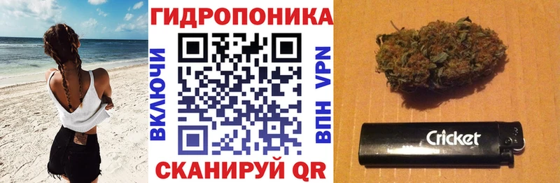 Бошки Шишки планчик  где купить наркоту  мега рабочий сайт  Нолинск 